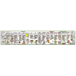 Nutritional Wall Chart