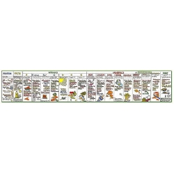 Nutritional Wall Chart
